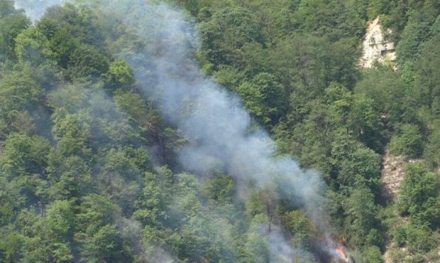 ‌آتش‌سوزی در ۴۵ هکتار از جنگل‌ها و مراتع گیلان