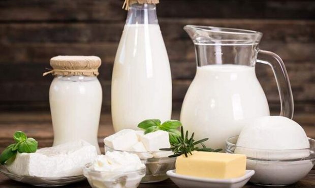 هزینه بالای تولید شیر در استان دامداران را نگران کرده است