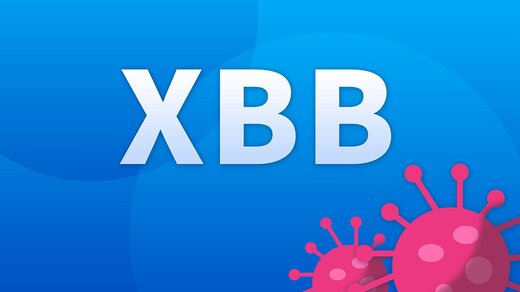 از واریانت جدید XBB.1.5 چه می‌دانیم؟/ «هم ایمنی‌گریزتر است و هم در انتشار شدیدتر عمل می‌کند»