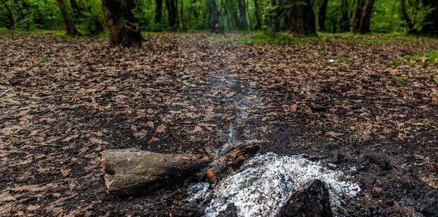 فرمانده یگان حفاظت منابع طبیعی گیلان: ۹۵درصد آتش سوزی جنگل های گیلان عامل انسانی دارد